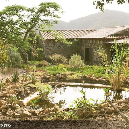 Live Finca San Miguel San Miguel de Abona Bagian luar foto