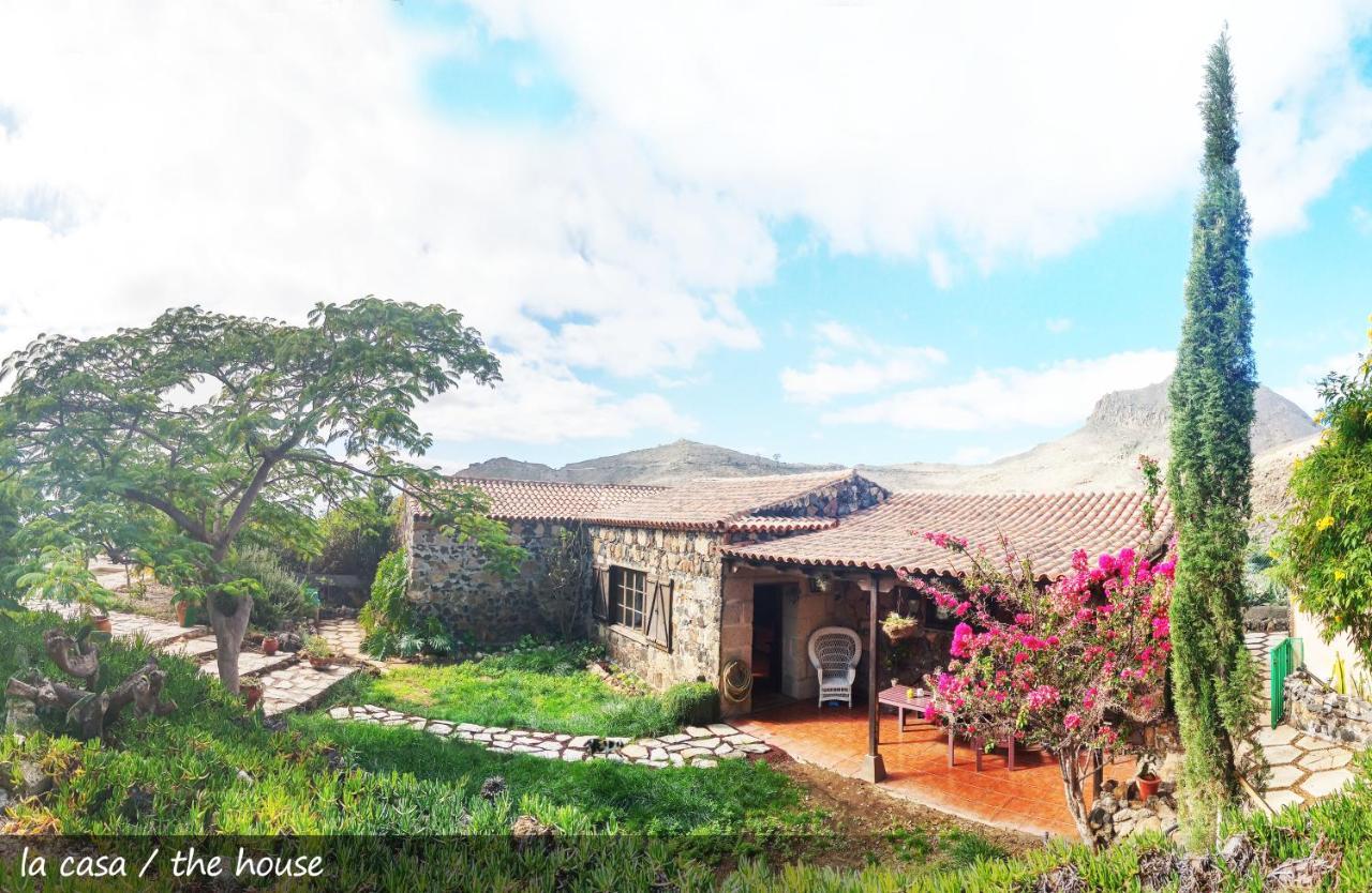 Live Finca San Miguel San Miguel de Abona Bagian luar foto