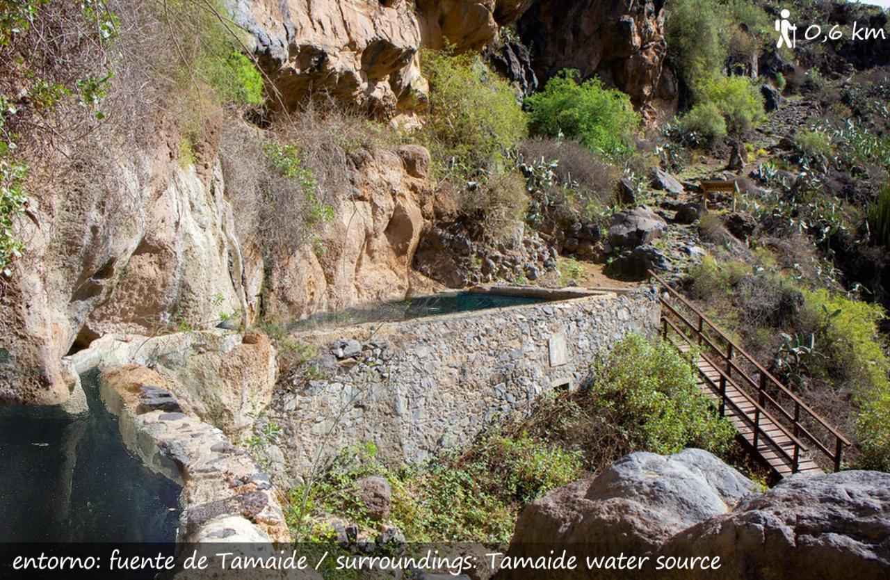 Live Finca San Miguel San Miguel de Abona Bagian luar foto