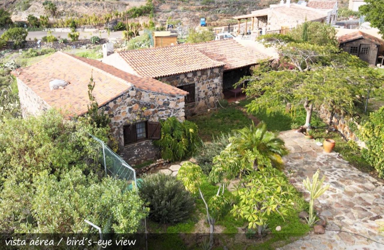 Live Finca San Miguel San Miguel de Abona Bagian luar foto