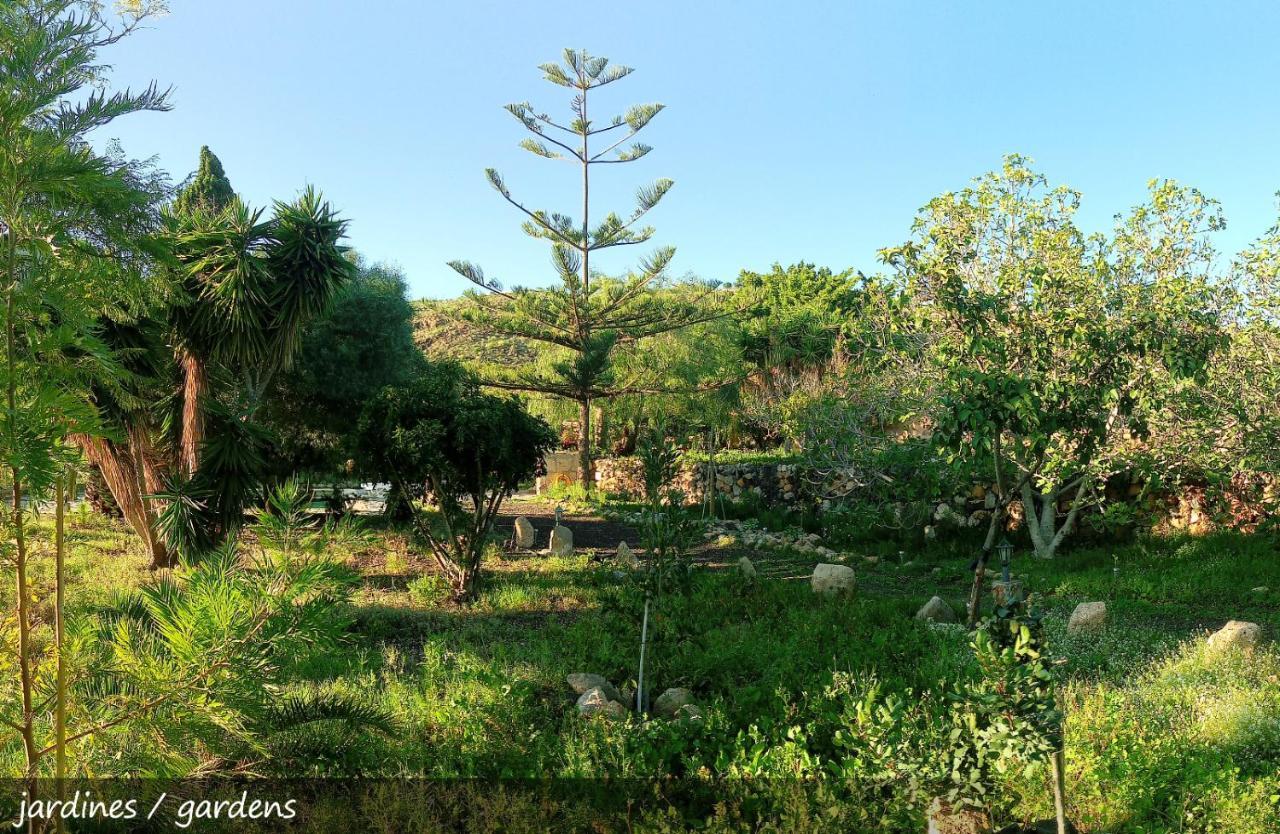 Live Finca San Miguel San Miguel de Abona Bagian luar foto