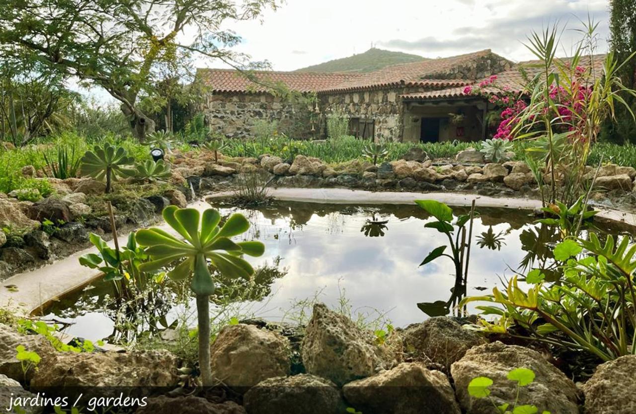 Live Finca San Miguel San Miguel de Abona Bagian luar foto